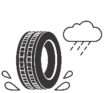 Tyres_Coupling_on_a_wet_surface.png